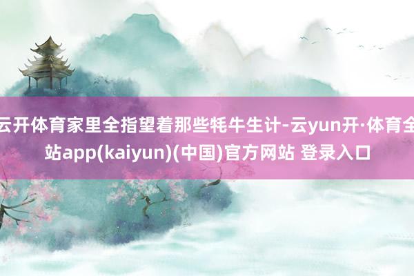 云开体育家里全指望着那些牦牛生计-云yun开·体育全站app(kaiyun)(中国)官方网站 登录入口